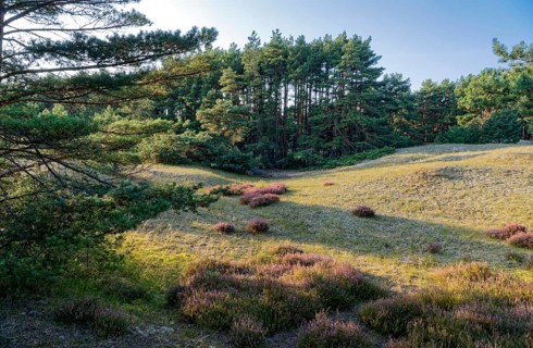 Landscape and fauna in the Slowinski National Park, Slowinski Park Narodowy, on the Baltic coast in