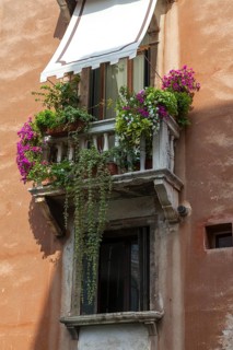 A Mediterranean balcony in an old town centre with flowering plants and ivy in the sunlight,