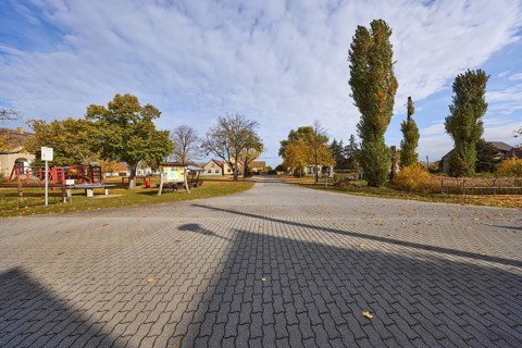 Village street with autumnal trees, Möglenz district, Bad Liebenwerda, Elbe-Elster district,