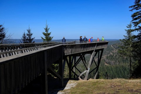 Viewing platform at Ellbachsee, near Baiersbronn, Freudenstadt district, Black Forest,