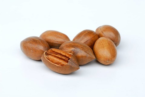 Pecans (Carya illinoinensis)