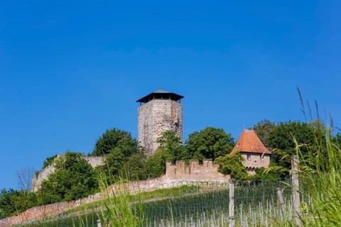Hohenbeilstein Castle, hilltop castle, Beilstein, Heilbronn district, Baden-Württemberg, Germany,