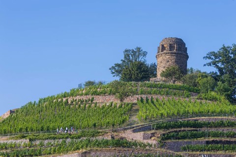 The Bismarck Tower in Radebeul, also known as the Bismarck Column, is one of around 145 Bismarck