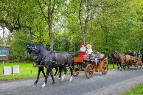 Presentation and route ride, all carriages in stylish tension, popular sporting event over approx.
