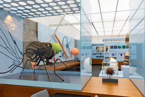 Founded in 1912, the Deutsches Hygiene-Museum is a museum in Dresden. It sees itself as a public