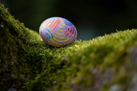Painted colourful Easter egg lying on moss in a tree fork, Germany, Europe