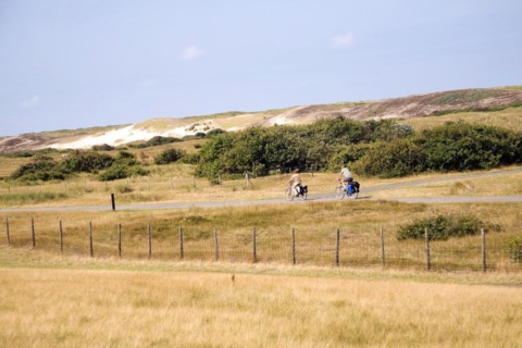 Sand dunes south of Scheveningen Holland