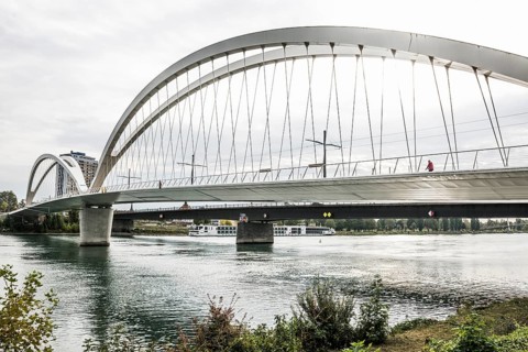 Bridge over the Rhine, cable-stayed bridge Passerelle des Deux Rives, Kehl, Ortenau,