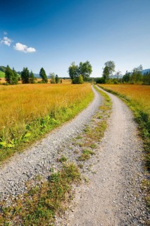 Field road leads through the Rothenthurm upland moor, Schwyz, Switzerland, Europe