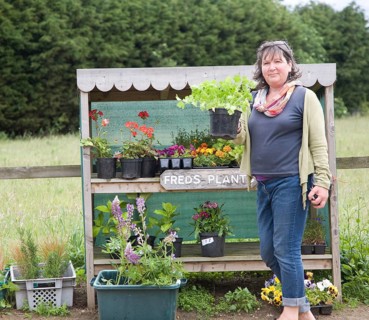 Woman looking at plants from a roadside stall, Bawdsey, Suffolk, England, United Kingdom, Europe