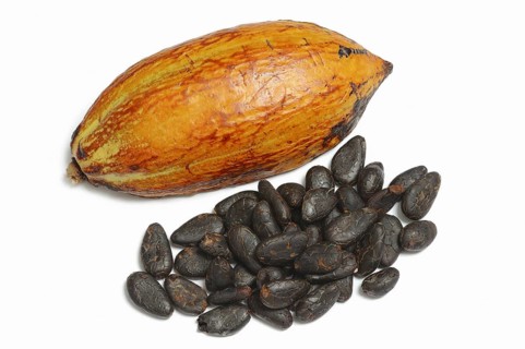 Cocoa tree (Theobroma cacao), halved cocoa fruit with cocoa beans