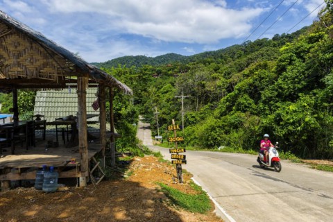 Scooter on a road on Koh Lanta, holiday, travel, tourism, travel, mobile, ride, rainforest,