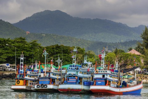 Colourful tourist boats for excursions, boat, ship, tourist boat, colourful, harbour, sea,