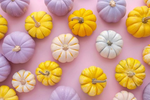 Op view of yellow and purple pumpkins on pastel blue background, Generative Ai, AI generated
