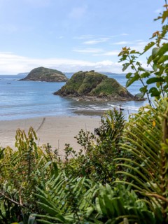Natural Heritage Site Islotes de Punihuil, Punihuil, Chiloe, Chile, South America