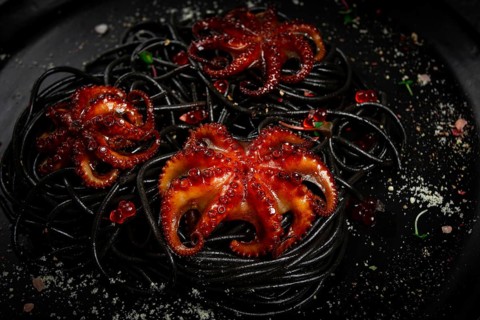Black spaghetti with baby octopuses, homemade, no people