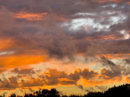 Scattered cloud cover of orange reddish and grey clouds Altocumulus in front of bluish evening sky