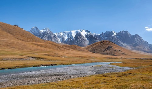 Mountain landscape with yellow meadows, Kol Suu River and mountain peaks with glaciers, Keltan