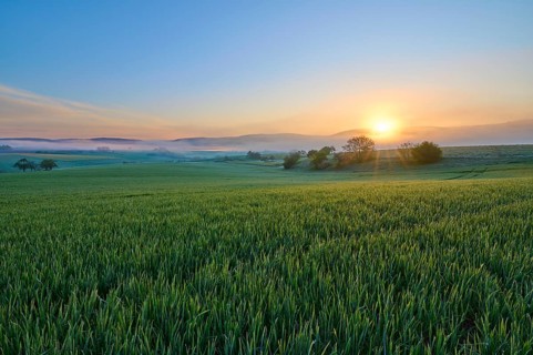 A picturesque sunrise over a wide green field and a gentle hilly landscape, Mönchberg, Mltenberg,
