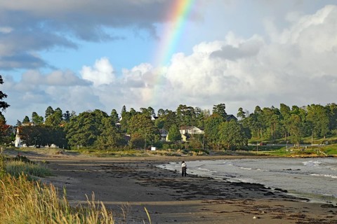 Beach landscape with rainbow and clouds over the sea and scattered green trees in the background,