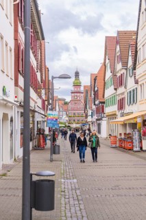 A lively pedestrian zone with half-timbered houses and people strolling along the street, Kirchheim