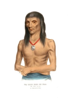 Indians, Native Americans of North America, Wa-Bish-Kee-Pe-Nas. The White Pigeon, Chief of the