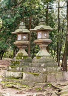 Stone lanterns, Kasuga-taisha shrine, Nara, Japan, Asia
