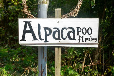 Bags of Alpaca poo on sale, Bawdsey, Suffolk, England, UK