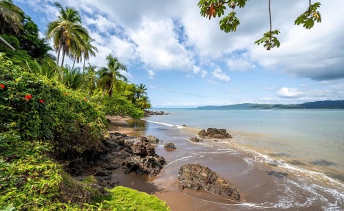 Tropical beach, South Pacific, Osa Peninsula, Punterenas Province, Costa Rica, Central America