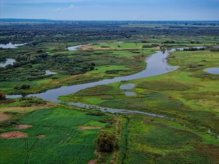 The Warta Estuary National Park, Park Narodowy Ujscie Warty, where the Warta flows into the Oder.