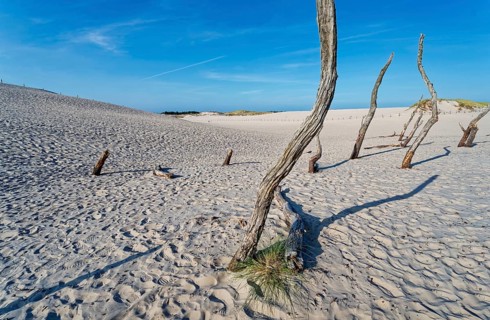 Dune landscape around the Lontz Dune, Wydma Lacka, the largest travelling dune on the Polish Baltic