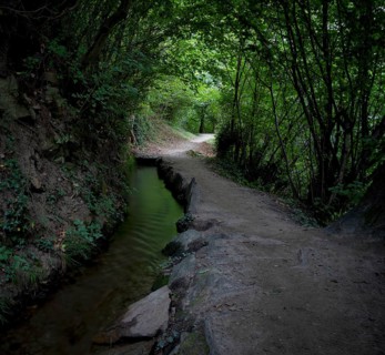 Hiking trail, Maiser Waalweg, stream, long exposure, Schenna, Scena, South Tyrol, Autonomous