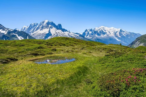 Mountain panorama with glaciated mountain peaks, Aiguille Verte with Aiguille du Midi and Mont