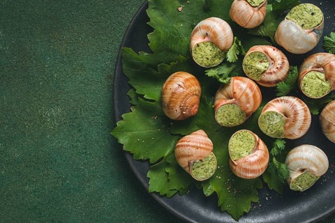 Grape snails, stuffed in burgundy, french cuisine