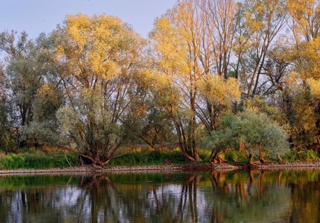 Evening light on the banks of the Czerwony Canal on the edge of the Warta Estuary National Park,