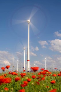 Wind farm, field with flower strips, insect-friendly border of fields with mixed flowers, poppies,
