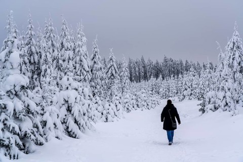 Winter in Sauerland, Hochsauerlandkreis, at Kahler Asten, near Winterberg, few tourists, visitors,