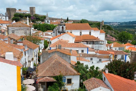 Overview of historic town with red roofs, surrounded by old castle wall, summer landscape, view
