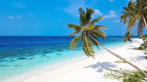 View of beach with turquoise blue water in shallow lagoon of Maldives island Filaidhoo in Indian