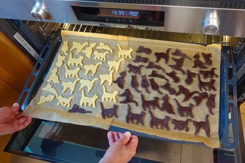 Swabian cuisine, Swabian Christmas biscuits, preparation of Ausstecherle, shortbread biscuits, cat