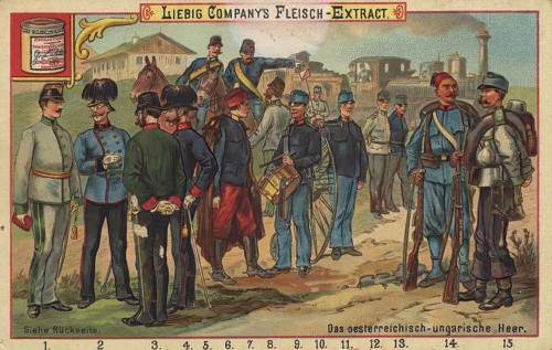 Picture series The Austro-Hungarian Army, Liebig picture, digitally restored reproduction of a