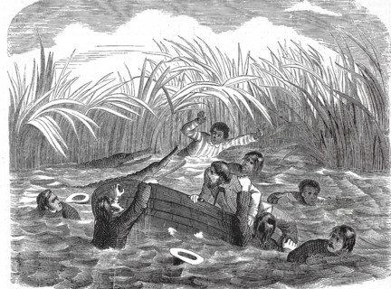 Historical, digitally restored reproduction from a 19th century original, Record date not stated,