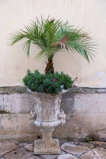 Amphora with palm tree and flowers, Galatina, Apulia, Italy, Europe