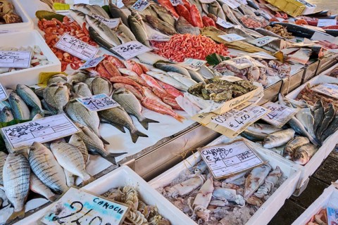 Fresh cought fish for selling on a daily market on 'Campo santa margherita' town square in Venice