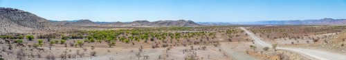 Panorama, gravel track leads through barren dry landscape with hills, Damaraland, Kunene, Namibia,