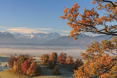 Morning fog, autumn colours, mountains, autumn, haze, Aidling, view of Zugspitze, Alpine foothills,