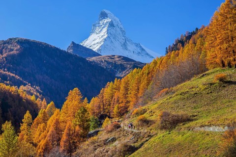 Autumn landscape with hiking trail and Matterhorn 4478m with golden yellow larches, Zermatt,