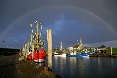 Fishing boats in the harbour of Tammensiel, rainbow, Pellworm Island, Schleswig-Holstein Wadden Sea