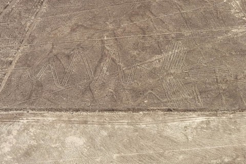 Aerial, The Heron, Nazca geoglyph, Nazca Lines, Nazca, Peru, South America