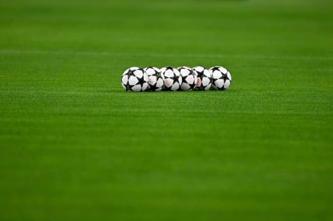 Adidas match balls lying on the pitch, Champions League, Allianz Arena, Munich, Bavaria, Germany,